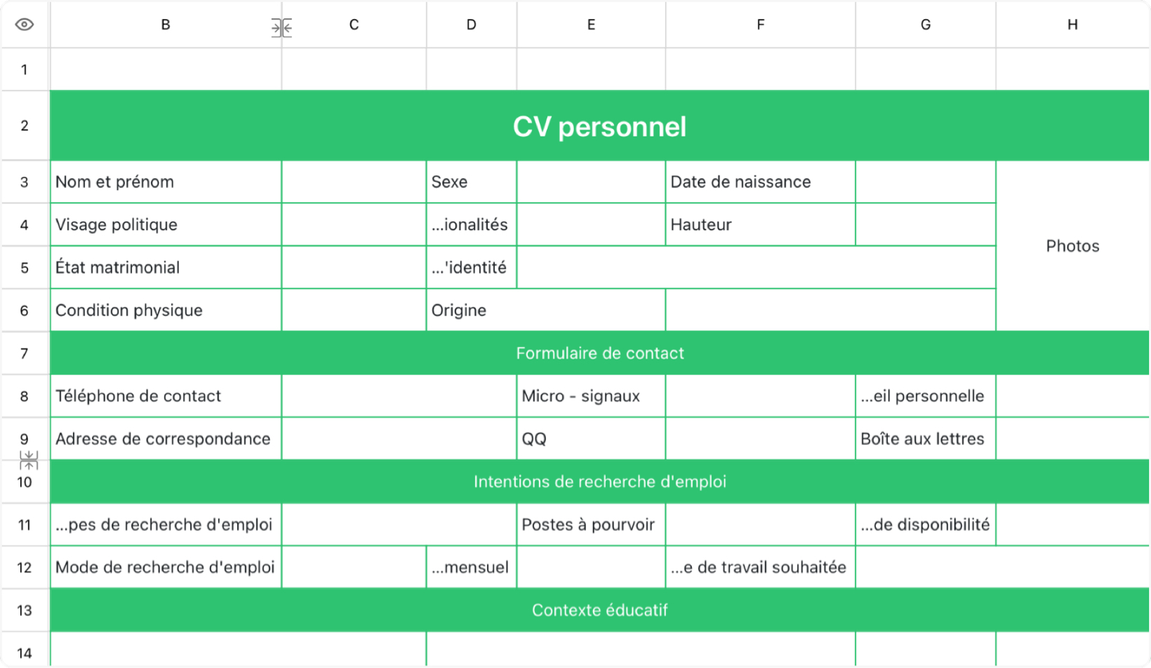 CV personnel vert